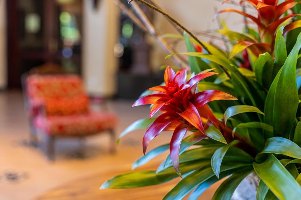 Villa Di Mantova Resort Hotel Águas de Lindóia Extérieur photo